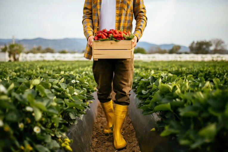 Bahar Sofralarına Renk Katacak Organik Lezzetlerle Tanışın! (2)