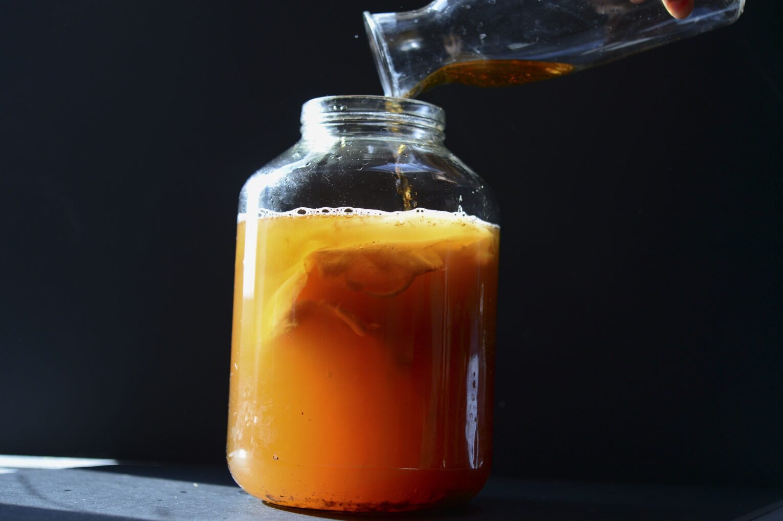 kombucha scoby görüntüsü