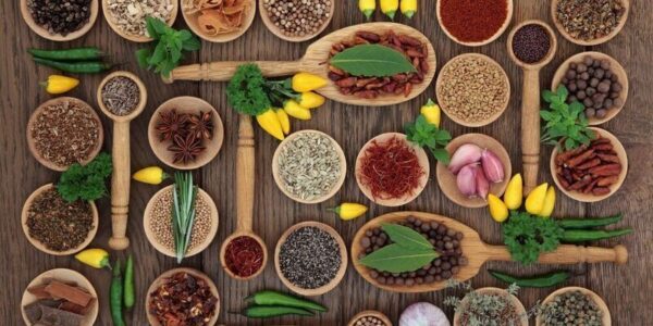 Anadolu Coğrafyasında İklim ve Gastronomi İlişkisi