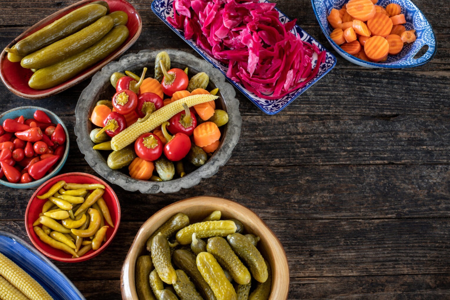 Fermentasyonun Biyolojik Gücü Neden Şimdi