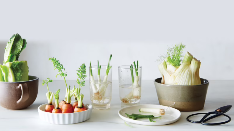 Gastronomik 'Upcycling' Atık Meyve ve Sebze Kabuklarından Ev Yapımı Premium Gurme Lezzetler