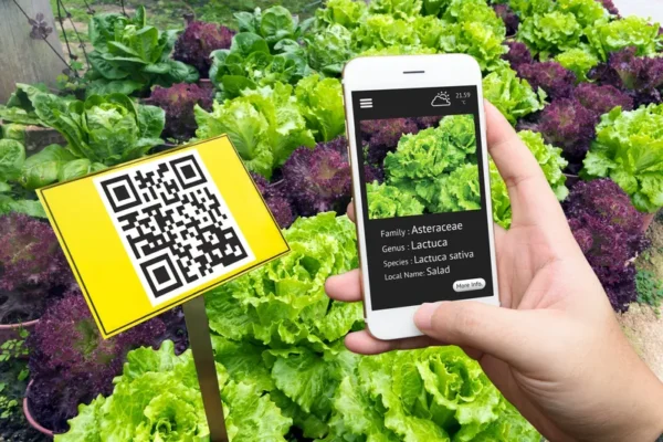 QR Kodların Gücü Şeffaflıkta Yeni Bir Dönem