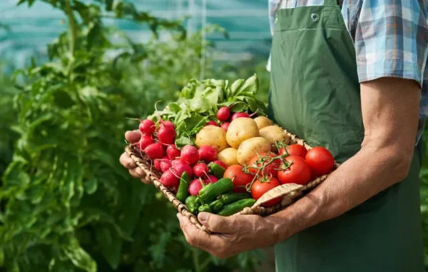Sürdürülebilir Gastronominin Yeni Standardı Km-Sıfır Felsefesi