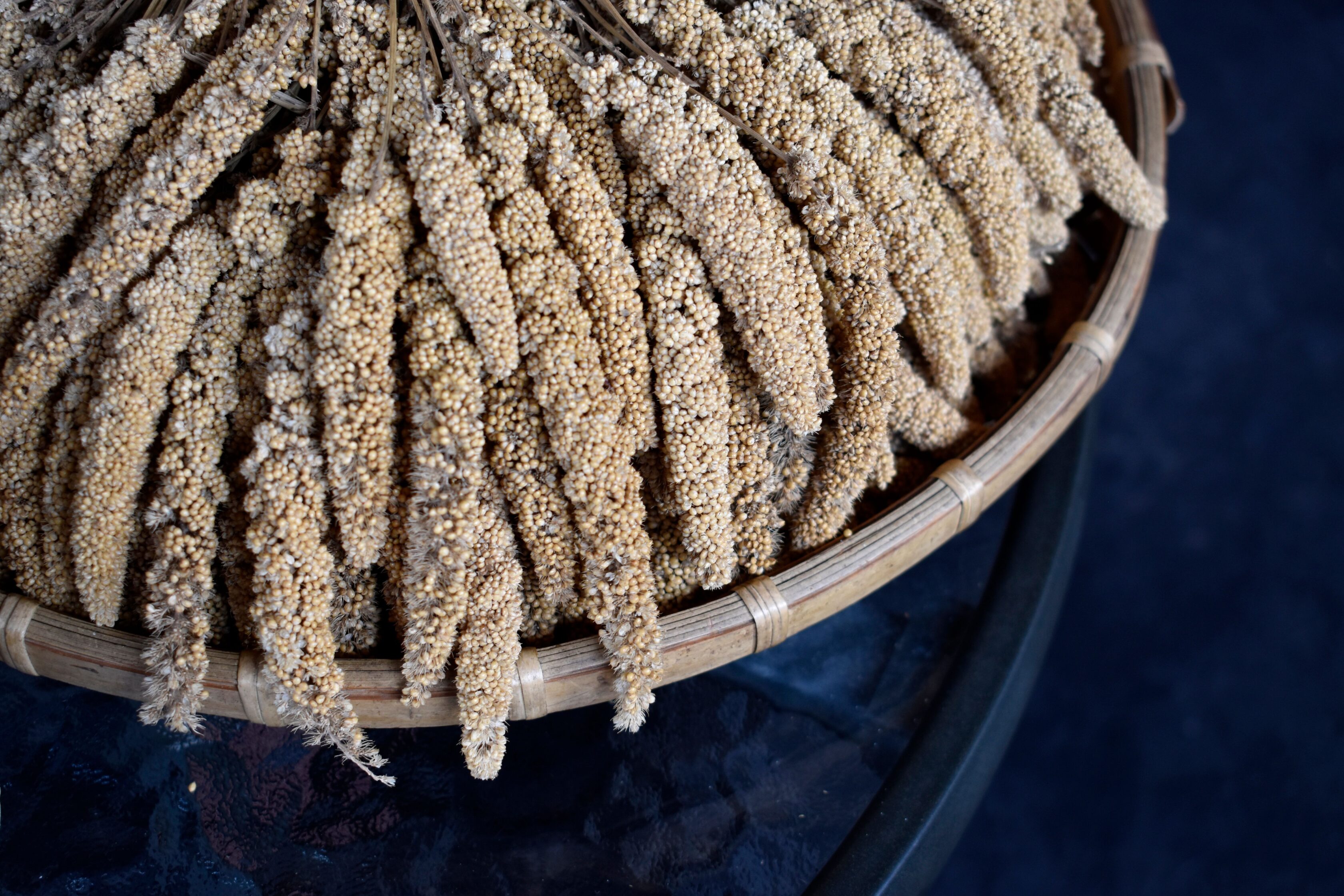 Glutensiz Beslenmenin Yeni Gözdesi Antik Tahıl Fonio Hakkında Bilmeniz Gerekenler