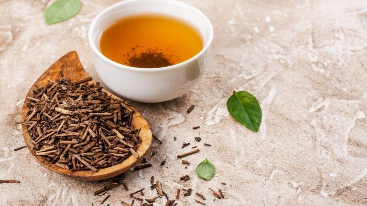 Kavrulmuş Lezzetin Ardındaki Gelenek: Hojicha