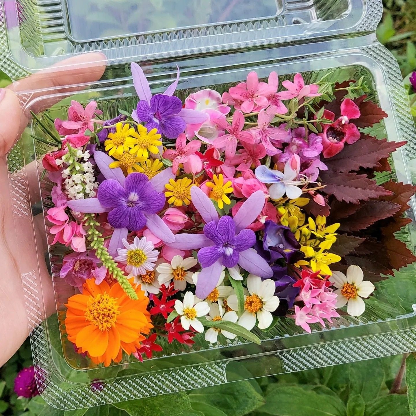 Serinleten ve Besleyen Başrol Oyuncuları
