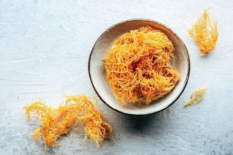 Vücuda 92 Farklı Mineral Kazandıran Deniz Yosunu Jeli Sea Moss ile Sağlığınızı Yenileyin